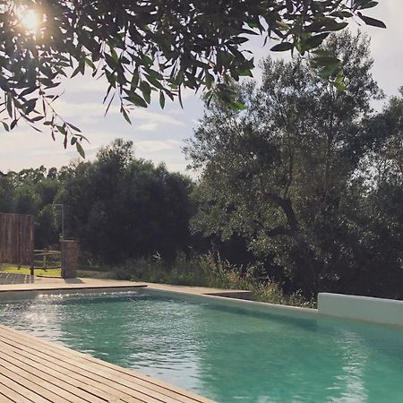 Agriturismo Casette Del Forno 蒙塔尔托迪卡斯特罗 外观 照片