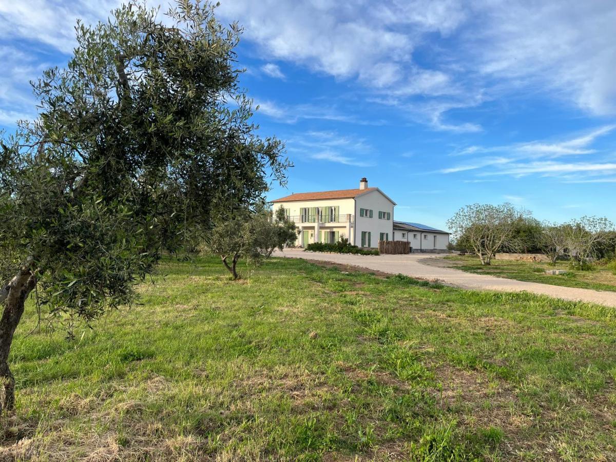 Agriturismo Casette Del Forno 蒙塔尔托迪卡斯特罗 外观 照片