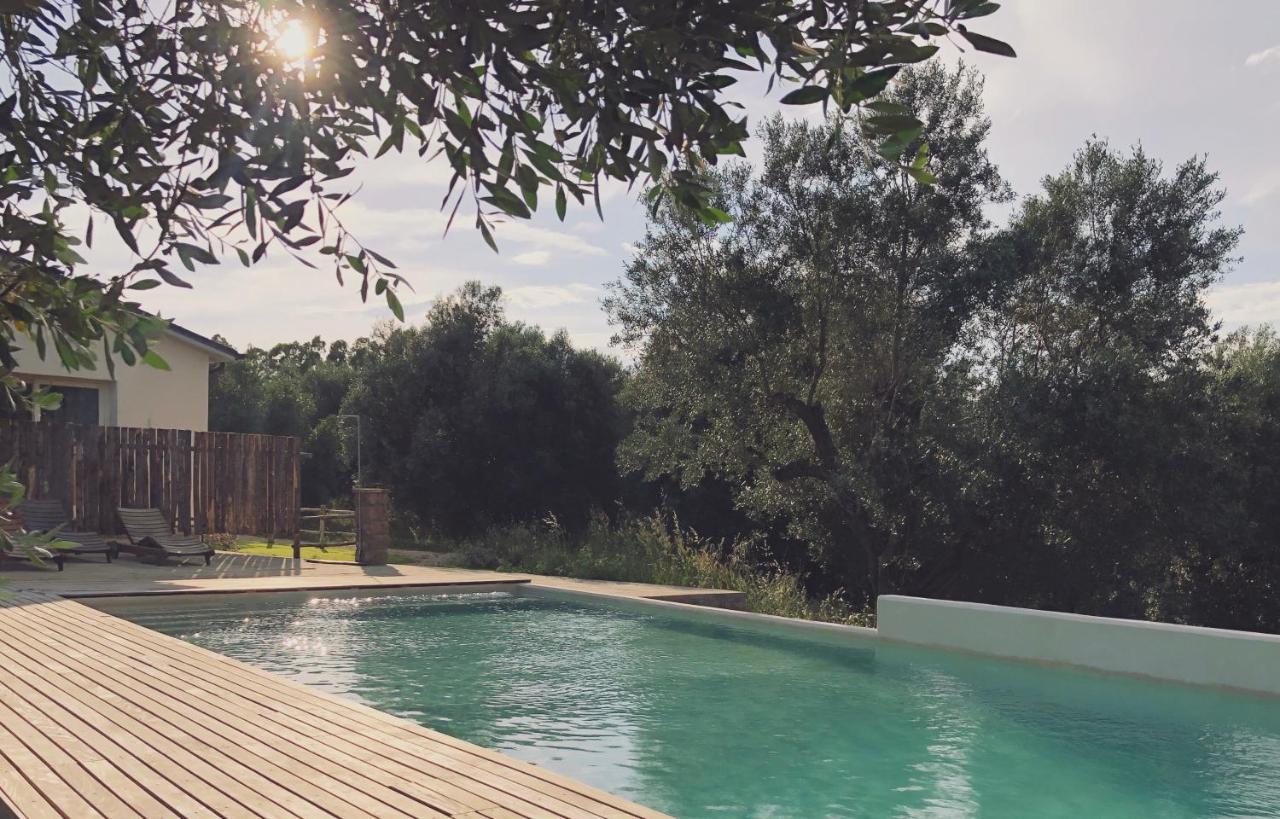 Agriturismo Casette Del Forno 蒙塔尔托迪卡斯特罗 外观 照片